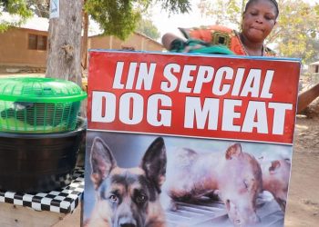 Bolga dog eaters warn against ban, threaten demo bigger than #FixtheCountry demo