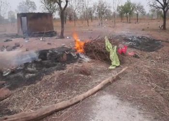 Dagbon State