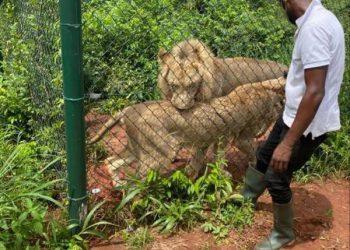 Accra Zoo