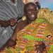 Those who insult Akufo-Addo are villagers and witches – Okyenhene