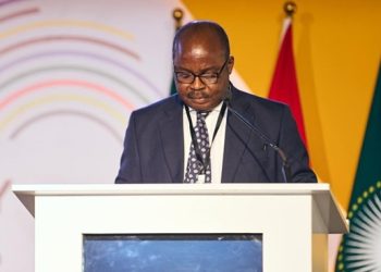 Nii Yarboi Annan writes: Addison’s recklessness; Ghana’s economic pain