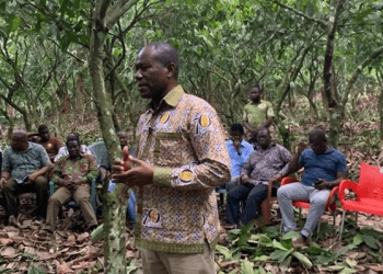 New cocoa price is a slave price and exploitative –Concerned Farmer