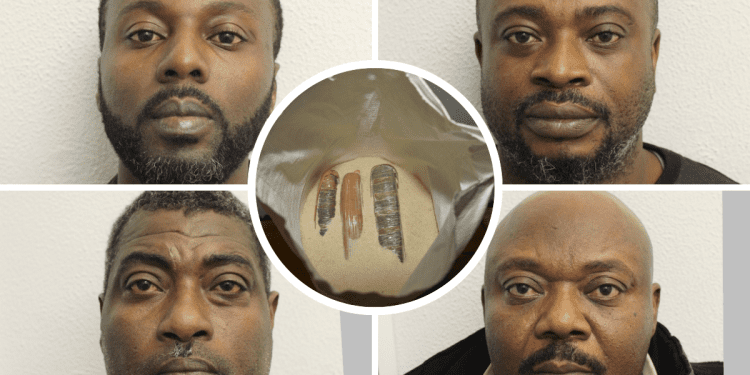 Four Ghanaians sentenced for smuggling £4.5 million worth of cannabis to UK; two on the run