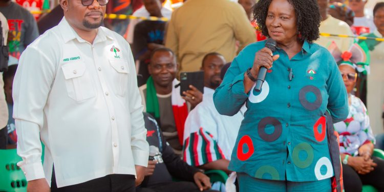 NDC Fought For You, Pay Back With Your Votes- Prof. Opoku Agyemang tells SALL 1 Prof. Opoku Agyemang