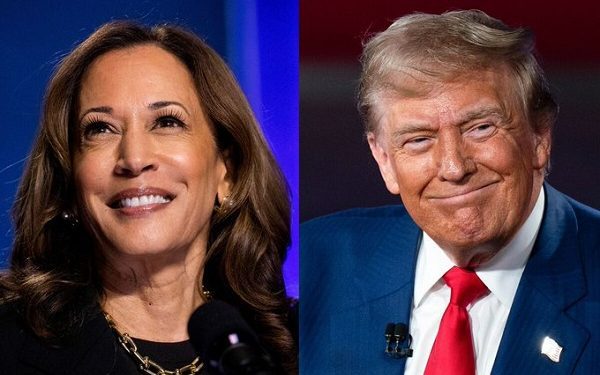 Trump or Harris