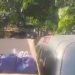 Voters angrily sack Ursula’s alleged food truck from polling centre
