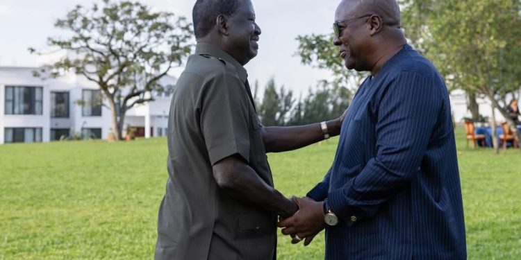 Kenya will enhance relations with Ghana in enhance socio-economic Development - William Ruto 1 William Ruto and Mahama