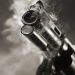 gun