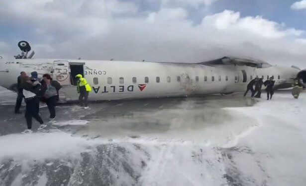 Delta Plane