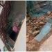Robbers steal Ak47 rifle
