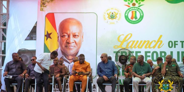 Mahama Launch Tree