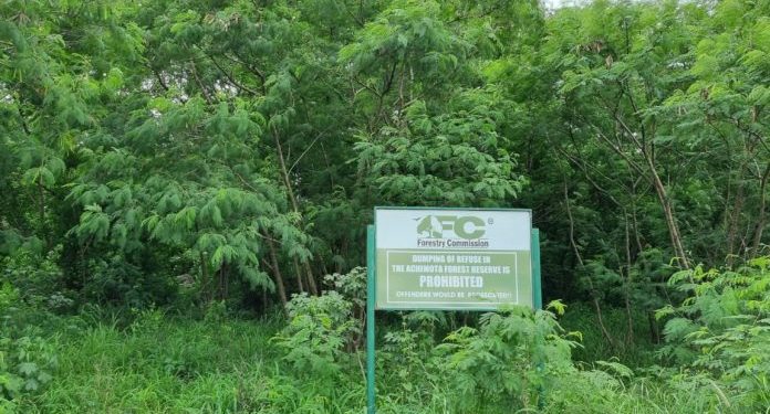 achimota forest