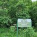 Achimota Forest will not be touched – Lands Minister Assures 