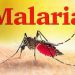 Ghana achieves 97% reduction in malaria deaths
