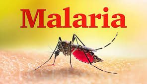 Ghana achieves 97% reduction in malaria deaths 1 malaria