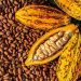 New Cocoa Producer Price to Be Announced in August – President Mahama Assures Farmers. 9 New Cocoa Producer Price to Be Announced in August – President Mahama Assures Farmers.