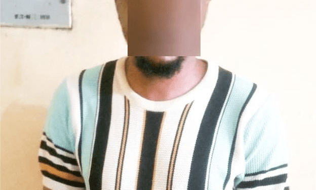 IMG 20250710 WA009711