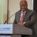 Mahama CEO summit