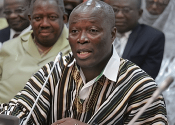 Nii Lantey Vanderpuye resigns as DRIP National Coordinator to pursue NDC executive role 2 Vanderpuye accuses NPP of fearing defeat over Ablekuma North rerun