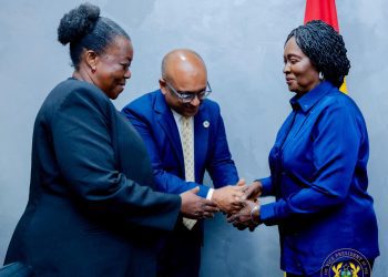 Veep Meets UN Delegation, Calls for Inclusive Development