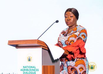 Trade Minister reaffirms commitment to import substitution and quality made-in-Ghana goods