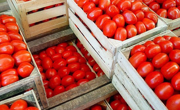 Crates Of Tomatoes