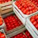 Crates Of Tomatoes