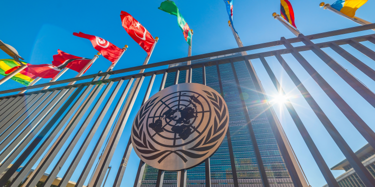 UN flags building