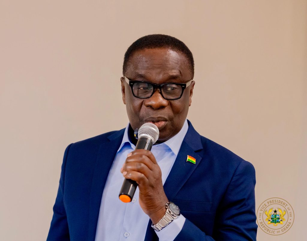 Government to Revoke Over 2,000 Mining Licenses as Naana Jane Declares Tougher Galamsey Crackdown 4 VEEP 3