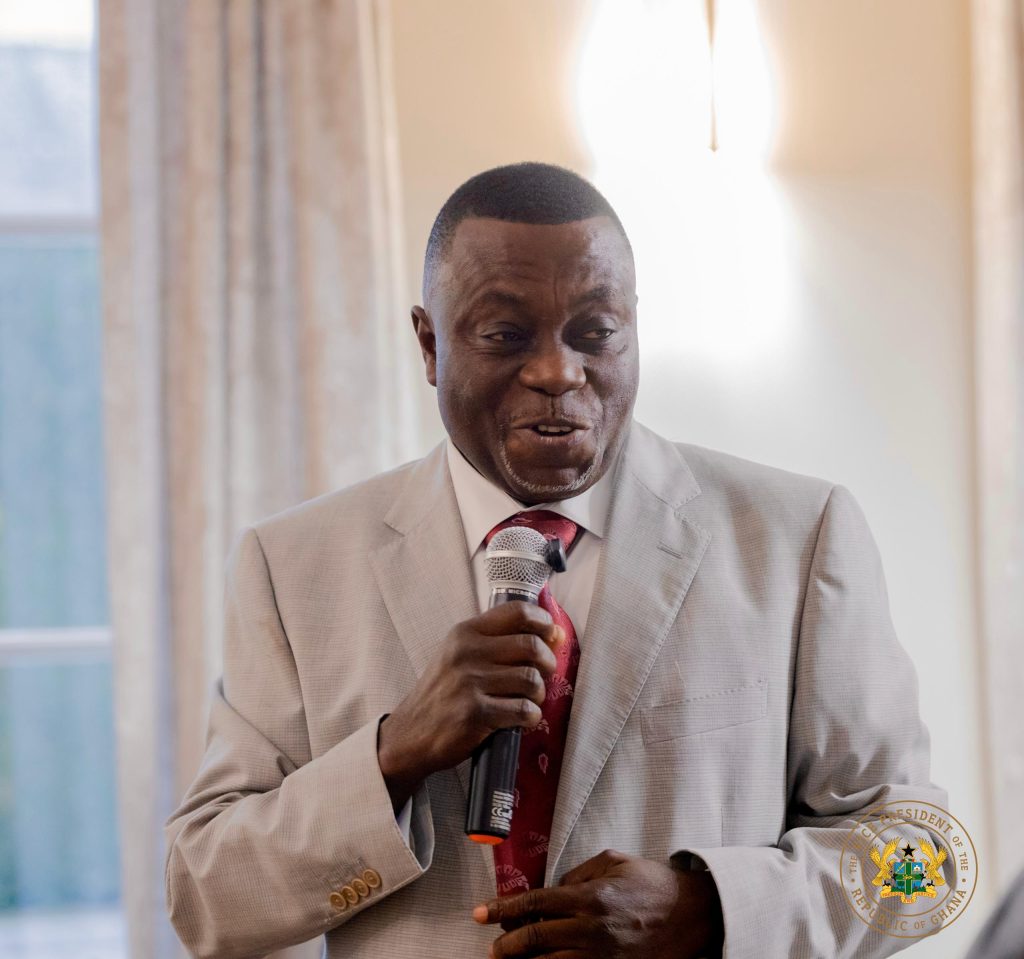 Government to Revoke Over 2,000 Mining Licenses as Naana Jane Declares Tougher Galamsey Crackdown 5 VEEP 4