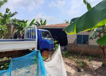 Assin Fosu: Learner driver kills mother of four