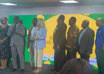 Energy Ministry Unveils Major Renewable Energy Portal