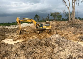 NAIMOS stops wanton havoc to cocoa farms by galamseyers at  Adanse Anomabo in the Ashanti Region