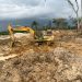 NAIMOS stops wanton havoc to cocoa farms by galamseyers at  Adanse Anomabo in the Ashanti Region