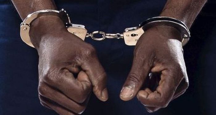 82a3ed57 7761 4a68 b2c7 ca697023c846