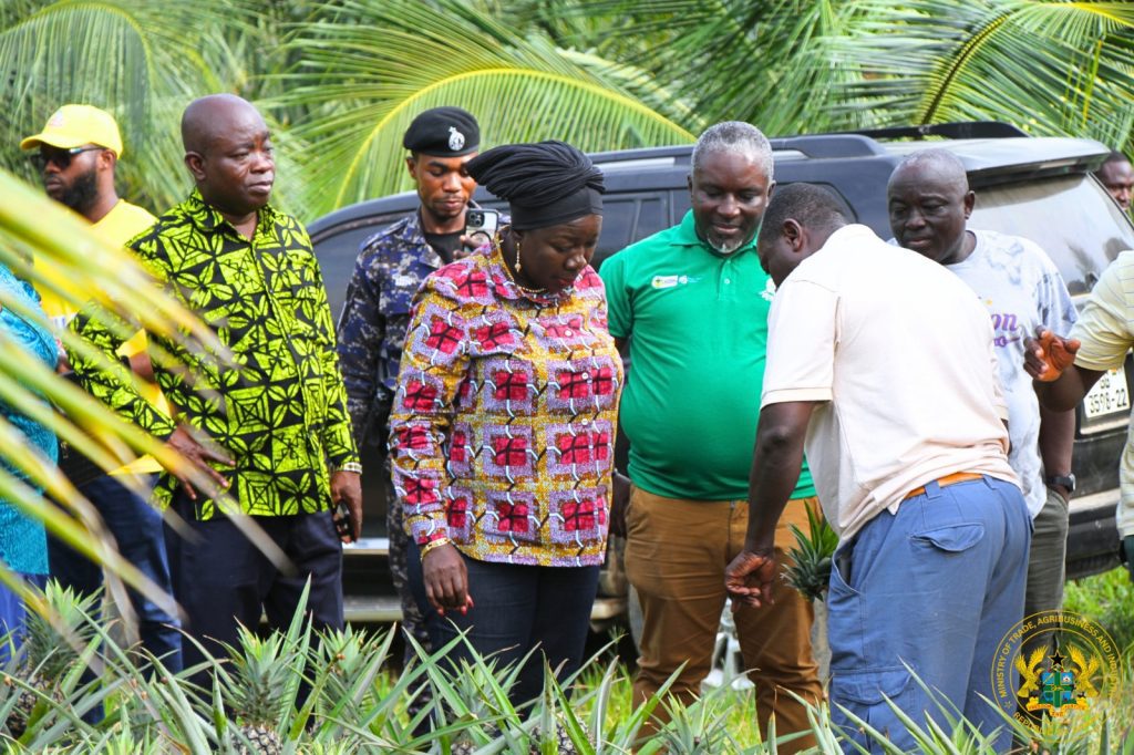 Trade Minister Tours Blue Skies Fruit Juice Company, Reaffirms Gov’t Support for Value Addition 7 m6