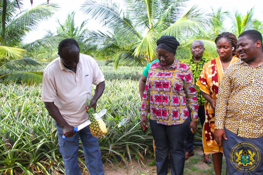 Trade Minister Tours Blue Skies Fruit Juice Company, Reaffirms Gov’t Support for Value Addition 8 m7