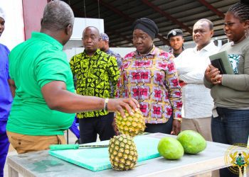Trade Minister Tours Blue Skies Fruit Juice Company, Reaffirms Gov’t Support for Value Addition 4 Trade Minister Tours Blue Skies Fruit Juice Company, Reaffirms Gov’t Support for Value Addition