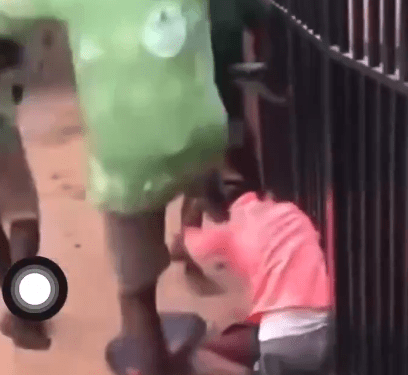 πππ¦ ππΌπΉπ±π ππΏπΆππΆπ π π²π²ππΆπ»π΄ ππΌ ππ±π±πΏπ²ππ π©πΆπΌπΉπ²π»π°π² πΆπ» ππ»ππ²πΏ-ππ°π΅πΌπΌπΉ π¦π½πΌπΏππ 1 swesbus