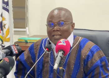 ‘Blaming foreigners is flawed’ – NDPC Chairman condemns xenophobic attacks in South Africa