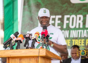 31 million trees planted, 30 million more targeted under Tree for Life Initiative