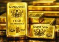 Ghana’s mineral wealth must not come at the expense of the environment — Ama Mawusi Mawuenyefia