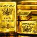 Ghana’s mineral wealth must not come at the expense of the environment — Ama Mawusi Mawuenyefia