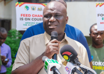Government rolls out massive fertiliser support and drone technology to boost food production 1 Government rolls out massive fertiliser support and drone technology to boost food production