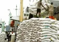 PFAG demands immediate rice import quota implementation amid growing farmer losses