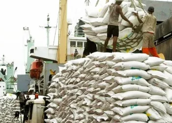 PFAG demands immediate rice import quota implementation amid growing farmer losses