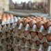 Ghana Resumes Egg Exports to Burkina Faso Following Ministerial Intervention 8 Ghana Resumes Egg Exports to Burkina Faso Following Ministerial Intervention