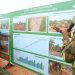 Security Expert Backs Military Role in Expressway, Calls for NACOC Integration at Ports 12 Security Expert Backs Military Role in Expressway, Calls for NACOC Integration at Ports