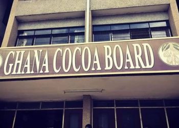 GHS 16.3 Billion Domestic Cocoa Notes Programme To Boost Cocoa Financing