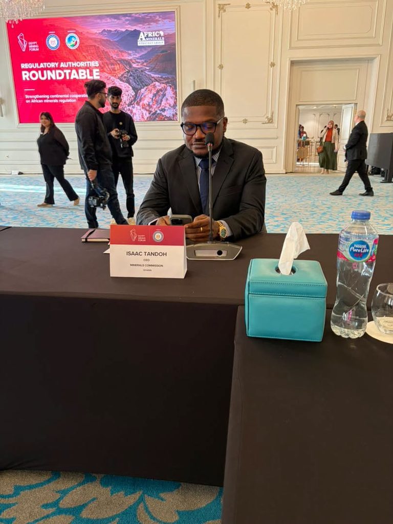 Africa must move beyond raw mineral exports, build unified regulatory framework — Minerals Commission CEO 2 MINCOM2 1 768x1024 1